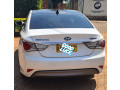 hyundai-sonata-small-0