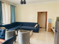 kigali-nice-fully-furnished-apartment-for-rent-in-kabeza-small-0