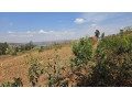 rusororo-land-for-sale-small-0