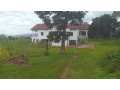 large-plot-for-sale-small-3