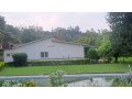 kigali-pool-house-available-for-rent-in-kiyovu-small-0