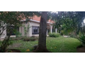 kigali-pool-house-available-for-rent-in-kacyiru-small-1