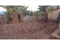 plots-in-nyamirambo-for-sale-small-3