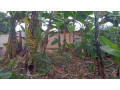 kigali-land-for-sale-in-nyamirambo-small-7