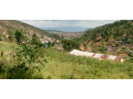 bumbogo-small-1