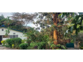 semi-furnished-house-available-for-rent-at-kiyovu-small-2