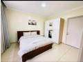 kibagabaga-nice-furnished-apartment-for-rent-in-kigali-small-9