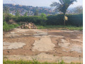 residential-plot-for-sale-near-the-road-and-good-neighbors-small-6