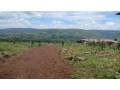 plot-for-sale-in-muyumbu-at-agood-place-small-4