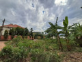 kagugu-small-3