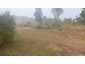 kigali-land-for-sale-in-rebero-small-8