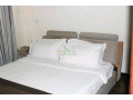 this-is-beautiful-fully-furnished-apartments-for-rent-in-remera-small-7