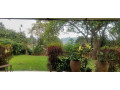 furnished-house-available-for-rent-at-kimihurura-small-11