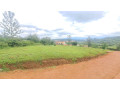 kinyinya-small-5