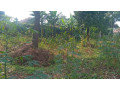 kigali-plot-for-sale-in-kinyinya-small-1