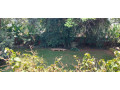 furnished-house-available-for-rent-at-kiyovu-small-4