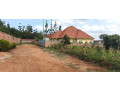 ikibanza-tugurisha-65m-gasogi-cyaruzinge-small-0
