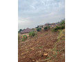 kigali-land-for-sale-in-rebero-mataba-small-3