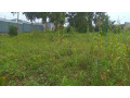 land-for-sale-in-batsinda-kagugu-small-8