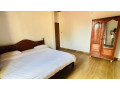 remera-fully-furnished-apartment-for-rent-in-kigali-small-7