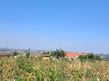 gisozi-residential-plot-for-sale-68-million-small-0