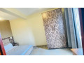 gishushu-fully-furnished-1bedroom-apartment-for-rent-at-500k350-in-good-location-small-4