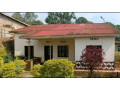 kiyovu-residential-plot-for-sale-110-million-small-2