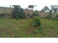 land-for-sale-in-batsinda-kagugu-small-3