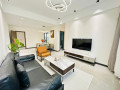 kiyovu-very-nice-luxurious-apartment-for-rent-in-kigali-small-4