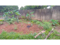 kigali-land-for-sale-in-rebero-small-6