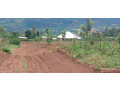 muyumbo-ntebe-plot-for-sale-small-2