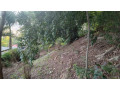 kigali-land-for-sale-in-kiyovu-small-0