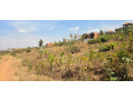 rusororo-land-for-sale-small-4