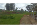 large-plot-for-sale-small-4