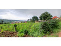property-for-sale-in-rusororo-small-0