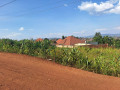 kigali-land-for-sale-in-busanza-kanombe-small-0