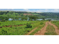 rwamagana-muhazi-plot-for-sale-small-3