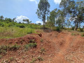 muyange-small-1