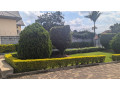 sm160-gacuriro-gacuriro-furnished-an-house-for-rent-in-kigali-rwanda-small-13