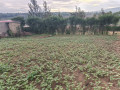 land-for-sale-at-kinyinya-gasabo-small-3