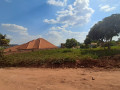 kimironko-masizi-residential-plot-for-sale-55million-small-2