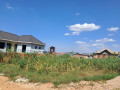 gisozi-residential-plot-for-sale-85million-small-1