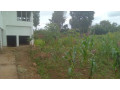 large-plot-for-sale-small-6