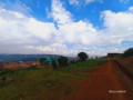 birembo-small-2