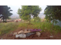 kigali-land-for-sale-in-nyamirambo-small-9