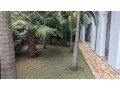 kimihurura-furnished-apartments-for-rent-in-kigali-small-8