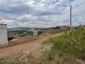 kagugu-small-0
