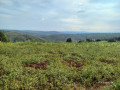 plot-for-sale-in-muyumbu-at-agood-place-small-1