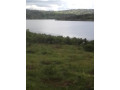 gatsibo-muhazi-land-for-sale-small-3