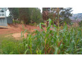 kigali-plot-for-sale-in-rebero-small-4